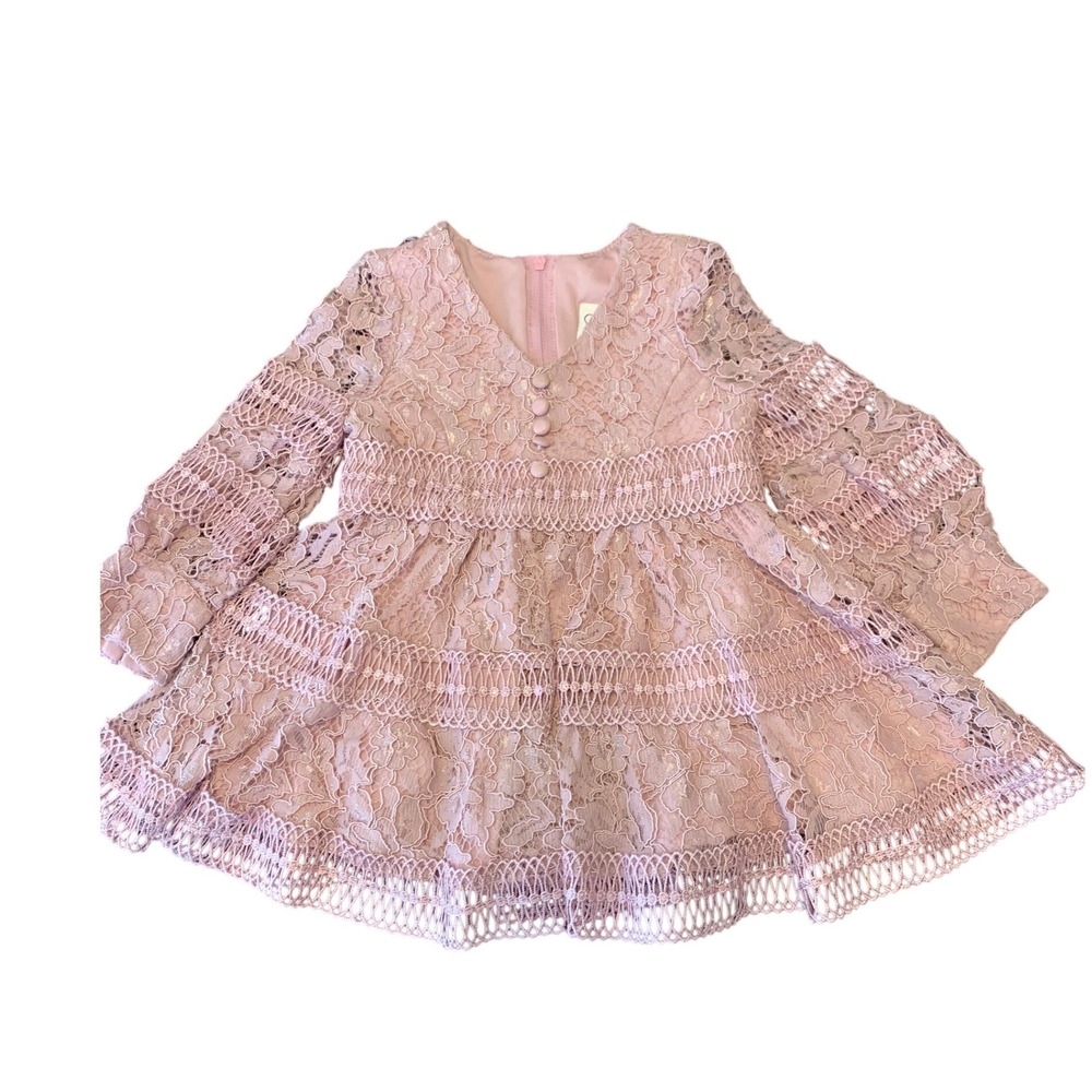 Searington‎ Road Girls Lace Boho Cottagecore Dress Pink Fairy 2T